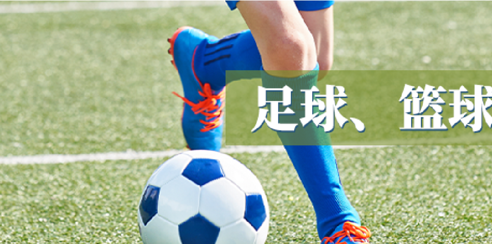 洛杉矶特色体育营篮球、足球、网球