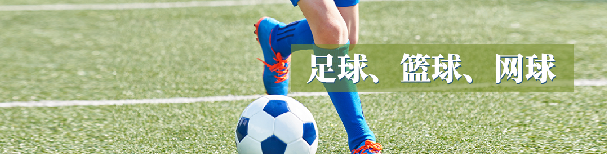 洛杉矶特色体育营篮球、足球、网球